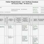 Fmea Analyse Vorlage Fabelhaft Fmea formblatt Nach Qs9000 In Caq2go