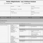 Fmea Analyse Vorlage Schönste Fmea Und System Fmea Mit Der software Rqm Von Pickert