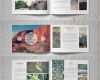 Fotobuch Indesign Vorlage Erstaunlich Universal Portfolio Brochure Catalog