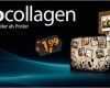 Fotocollagen Vorlagen Einzigartig Myphoto24 Posterdruck Leinwanddruck Poster Drucken