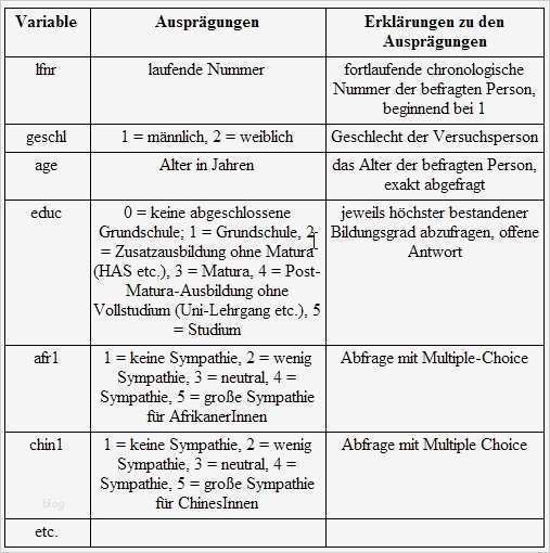 quantitative Vom Fragebogen zum Codeplan