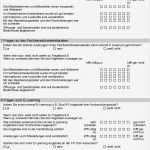 Fragebogen Kundenzufriedenheit Vorlage Beste Wunderbar Büro Fragebogen Vorlage Zeitgenössisch Entry