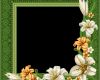 Frames HTML Vorlagen Fabelhaft Green Transparent Frame with Flowers