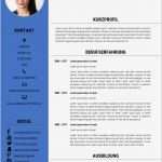 Freelancer Profil Vorlage Word Gut Bewerbungsmuster Kostenloser Download