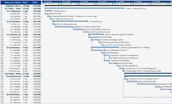 5 Project Plan Template Excel Gantt ExcelTemplates