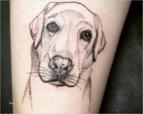 Gedenk Tattoos Vorlagen Hübsch Hunde Tattoo Designs Mit Bedeutungen