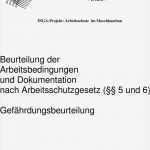 Gefährdungsbeurteilung Nach 5 Arbeitsschutzgesetz Vorlage Gut Beurteilung Der Arbeitsbedingungen Und Dokumentation Nach