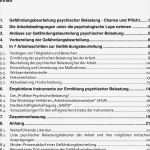 Gefährdungsbeurteilung Nach 5 Arbeitsschutzgesetz Vorlage Schön Handlungshilfe Senatorin Für Finanzen Handlungshilfe Zur