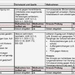 Gefährdungsbeurteilung Vorlage Angenehm Gefährdungsbeurteilung Montage Von Dachelementen