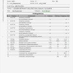 Gefährdungsbeurteilung Vorlage Elektro Genial Dguv V3 Bgv A3 Prüfprotokoll &amp; Dokumentation