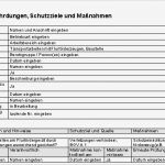 Gefährdungsbeurteilung Vorlage Pdf Genial Gefährdungsbeurteilung Transportarbeiten Mit