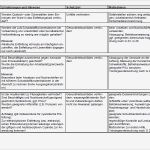 Gefährdungsbeurteilung Vorlage Pdf Hübsch Gefährdungsbeurteilung Entfetten Alkalisch sofort