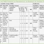 Gefahrstoffkataster Vorlage Excel Wunderbar Fmea Analyse Fehlermöglichkeits Und Einflussanalyse