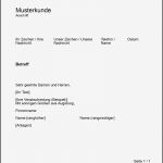 Geschäftsbrief Vorlage Pdf Elegant Geschäftsbrief Verfassen Leicht Gemacht format Tipps