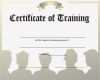 Ghs Etiketten Vorlage Word Einzigartig Ghs Training Certificate Template Certificate