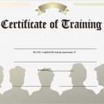 Ghs Etiketten Vorlage Word Einzigartig Ghs Training Certificate Template Certificate