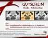 Gutschein Vorlage Fotoshooting Erstaunlich Hunde – Fotoshooting – Gutschein – Blog