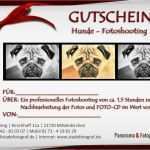 Gutschein Vorlage Fotoshooting Erstaunlich Hunde – Fotoshooting – Gutschein – Blog