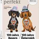 Gutschein Zeitungsabo Vorlage Erstaunlich Deutsch Perfekt Abo Zeitschriften Abo • Zeitschriften Abo