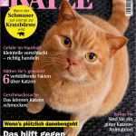 Gutschein Zeitungsabo Vorlage Hübsch Geliebte Katze Abo Zeitschriften Abo • Zeitschriften Abo