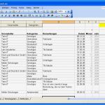 Haushaltsbudget Excel Vorlage Schönste Haushaltsbud Excel Vorlage Download Puter Bild Dmg