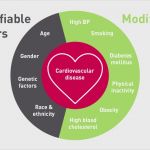 Hnee Powerpoint Vorlage Erstaunlich Diagram Heart Disease Risk Factors Gallery How to Guide