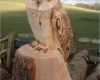 Holzschnitzen Vorlagen Genial Chainsaw Carved Owl Ebay