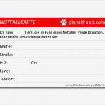 Html Kontaktformular Vorlage Fabelhaft Gallery Of Jungmann software Papier Mitarbeiter Notfall