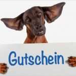 Hund Vorlage Best Of Doppelkarte Gutscheinkarte Witziger Hund Mit Schild