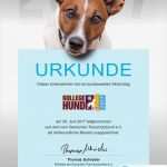 Hund Vorlage Erstaunlich Ziemlich Hund Stammbaum Vorlage Ideen Entry Level Resume