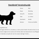 Hund Vorlage Genial Vsg Gomadingen E V Tag Des Hundes Steckbriefe