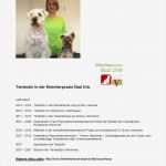 Hund Vorlage Süß Berühmt Hund Walking Flyer Vorlage Zeitgenössisch Entry