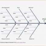 Hx Diagramm Vorlage Großartig Beste Lebenslauf Diagrammvorlage Bilder Entry Level