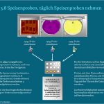 Hygieneschulung Vorlage Großartig Haccp Hygieneschulung Haccp Schulung Auf Cd Rom Vorlage