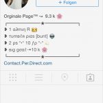 Instagram Biografie Vorlagen Elegant Instagram Biografie Sprüche Instagram Biografie Spr Che