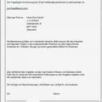 Interview Fragebogen Vorlage Wunderbar tolle Fragebogen Vorlage Pdf Ideen Entry Level Resume