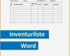 Inventarliste Vorlage Fabelhaft 12 Inventarliste Vorlage