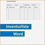 Inventarliste Vorlage Fabelhaft 12 Inventarliste Vorlage