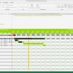 It Projektplanung Vorlage Angenehm Projektplan Excel