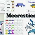 Jahresplanung Kindergarten Vorlage Cool Projekt Meer Und Meerestiere Kindergarten Und Kita Ideen