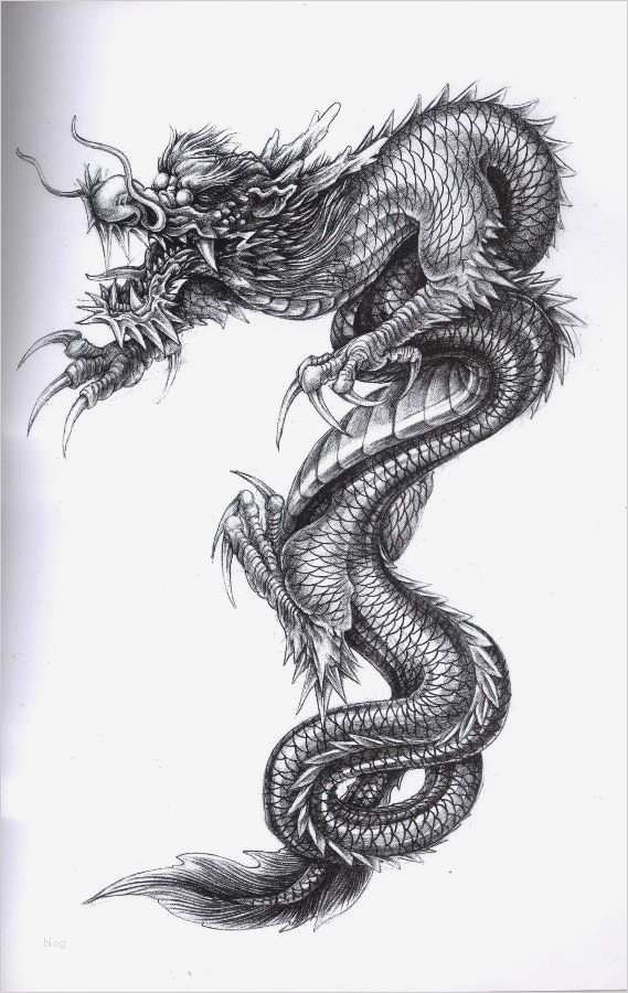 China Dragon I want this talent happy art