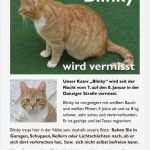 Katze Vermisst Vorlage Erstaunlich Tierarztpraxis Gusborn Dr Reinhard Goy &quot;blinky&quot; Aus