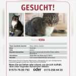 Katze Vermisst Vorlage Schön Schön Melden Sie Sich In Blattvorlage Bilder Bilder Für