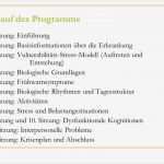 Krisenplan Vorlage Psychiatrie Wunderbar Psychoedukation Dr Katja Salkow Bipolar Tagesklinik Am