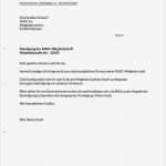 Kündigung Sportverein Vorlage Pdf Bewundernswert Kündigungsschreiben Job Vorlage Kündigung Vorlage Fwptc