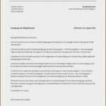 Kündigung Sportverein Vorlage Pdf Schön Beste formulare Und Vorlagen Galerie Entry Level Resume