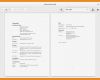 Latex Vorlage Lebenslauf Erstaunlich 8 Lebenslauf Latex