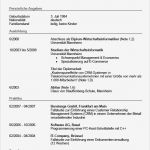 Lebenslauf Englisch Vorlage Pdf Einzigartig Tabellarischer Lebenslauf Beispiel