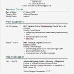 Lebenslauf Englisch Vorlage Pdf Schön Curriculum Vitae