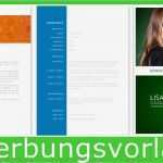 Lebenslauf Informatiker Vorlage Luxus Erfreut Ingenieur Lebenslauf Vorlage In Wort Bilder